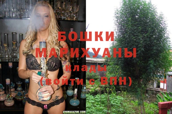 ПСИЛОЦИБИНОВЫЕ ГРИБЫ Бугульма