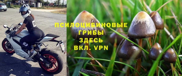 а пвп мука Бородино