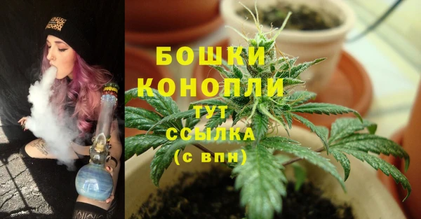 ПСИЛОЦИБИНОВЫЕ ГРИБЫ Бугульма