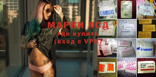 ПСИЛОЦИБИНОВЫЕ ГРИБЫ Бугульма